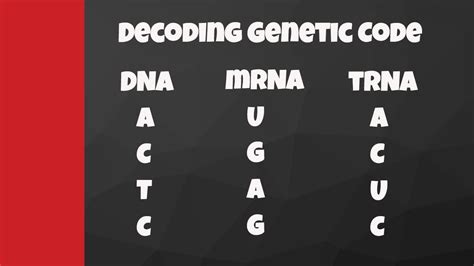Type or paste your DNA sequence below and automatically retrieve the r