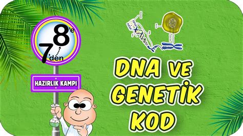 Dna ve genetik kod 7 den 8 e