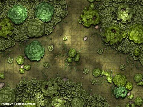 Dnd Forest Battle Map - Etsy