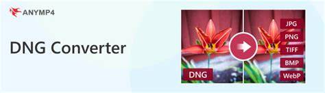 Dng to cube converter.  While you cannot directly convert a DNG image t...