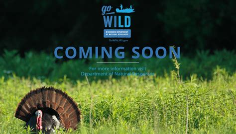 Dnr go wild wisconsin. Things To Know About Dnr go wild wisconsin. 