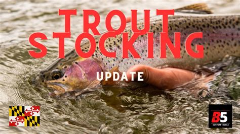 Dnr trout stocking md. This is an additional tag to your fishing license, required for any angler 16 years of age or older. The fee is $5.00. The limit on put-and-take trout is five per day. Check the DNR’s trout page before you head out, there may be other restrictions such as delayed harvest on a particular fishery, too. What I have found in stocked ponds and ... 