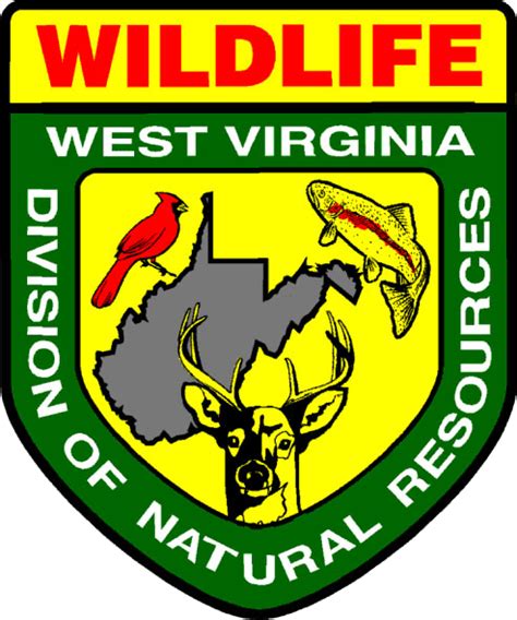 Dnr wv. Fishing. Virginia offers excellent, extremely diverse angling opportunities. With over 176,000 acres of public lakes and 27,300 miles of fishable streams, Virginia is sure to provide something for every freshwater angler. 