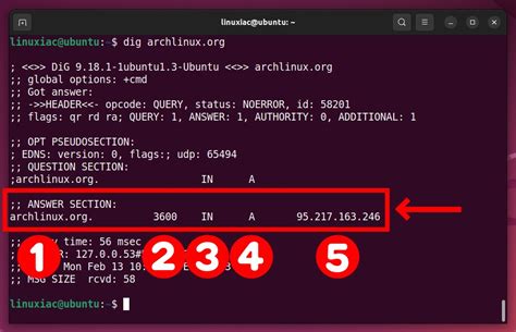 Dns lookup linux.  Feb 6, 2026 · Learn how to use dig, a command-line tool for queryin...
