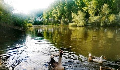 Doğada  al ı Full.