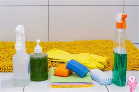 Doğal ürünlerle ev temizliği