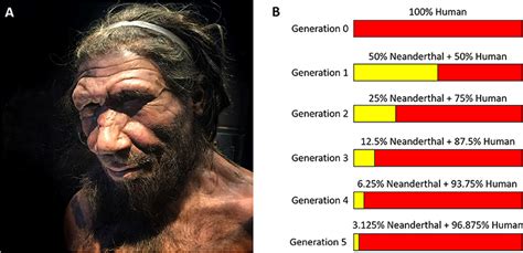 Do Basque people have Neanderthal DNA