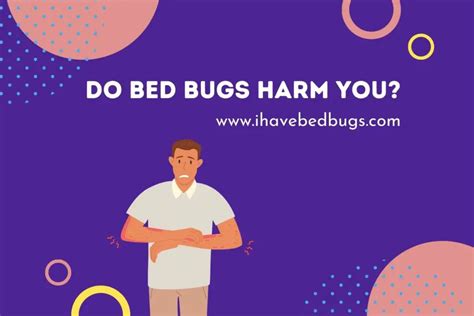 Do Bed Bugs Harm You? - ihavebedbugs.com