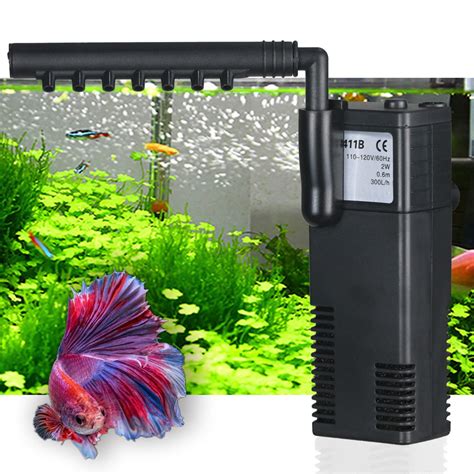 Do Betta Fish Need a Filter in Their Tank? Fishkeeping …