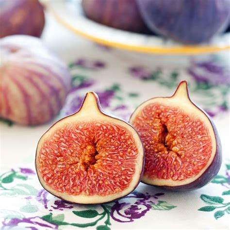 Do Figs Like Lots of Water? - All About Figs