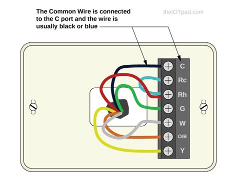 Do I need the blue wire on a thermostat? (2024) - lxnjnu.com