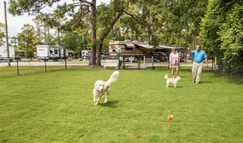 Do Most Rv Parks Permit Dogs? - RaylexShepherds.com 2024