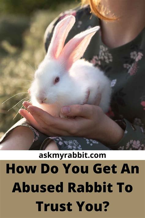 Do Rabbits Remember Abuse? How To Get An Abused Rabbit To …