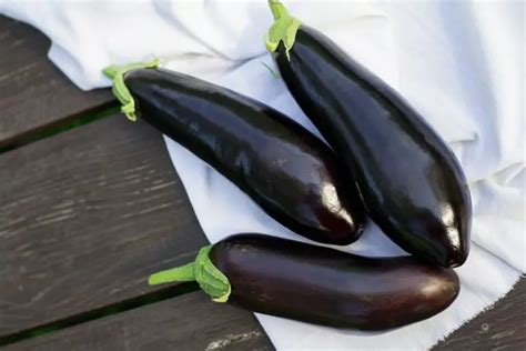 Do You Have to Peel Eggplant? (And Why You Might Not Want To)