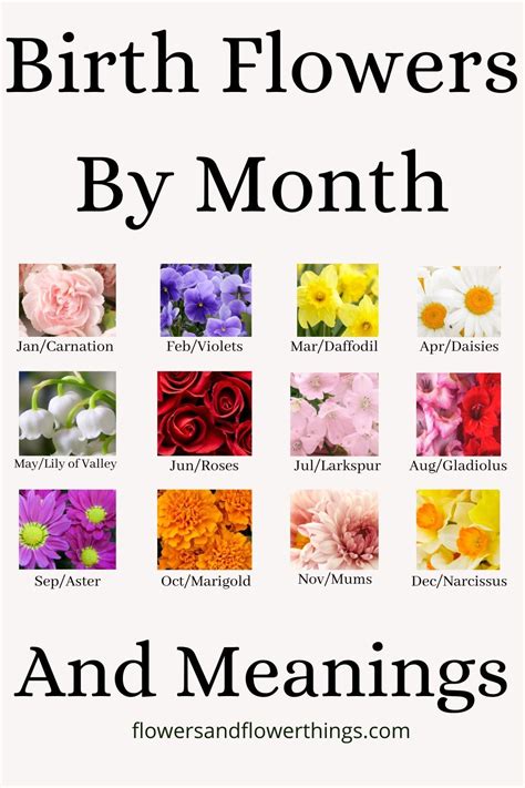 Do You Know Your Birth Months Flowers? Learn Yours …