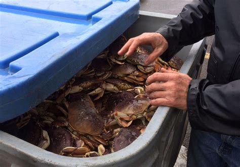 Do You Need A Fishing License To Crab In Oregon?