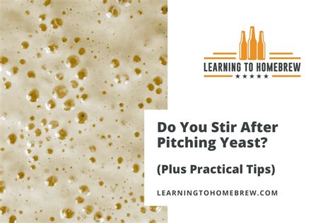 Do You Stir After Pitching Yeast? (Plus Practical Tips)