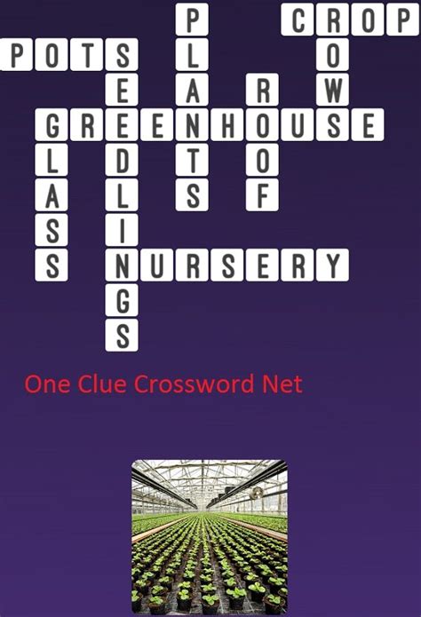 Do a greenhouse chore - crossword puzzle clue