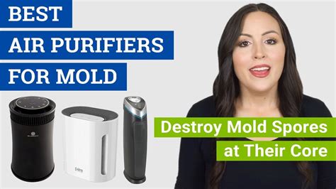 Do air purifiers help with mold. On its medium setting (speed three, out of five), the Air Mini+ reduced smoke levels by just 58.7%, versus the Levoit’s 92.6%. And even on its highest setting, at which it emitted an intolerable ... 
