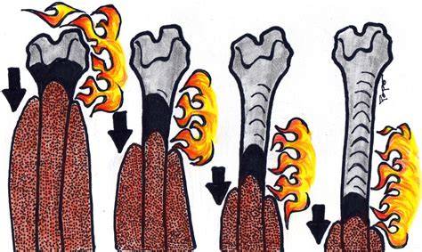 Do bones burn in fire.  Burned bone remains can still yield valuable informat...