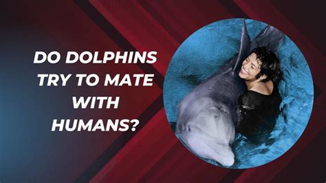 Do dolphins try to mate with humans? - Quora