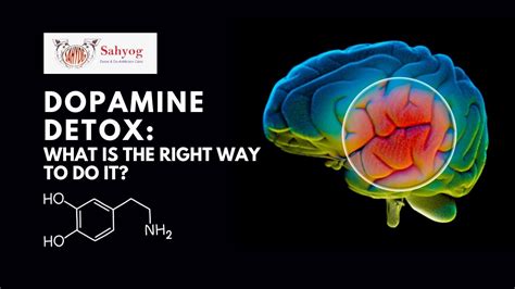 Do dopamine detoxes work. Things To Know About Do dopamine detoxes work. 