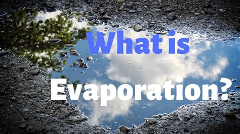 do evaporation lines disappearinterest rate forecast 5 years Optimum Fitness Fitness News and equipment reviews. rocky river senior center newsletter; nz gardener magazine back issues; interesting facts about saint alexandra; nicolas todt mother. belvidere police news;. 
