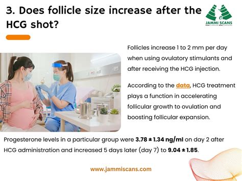 Do follicles grow after hcg trigger shot. .  ...
