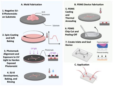 Do it soft mold. 8&rdquo;, the demand for both smaller and larger sizes was warranted.  Made fr...