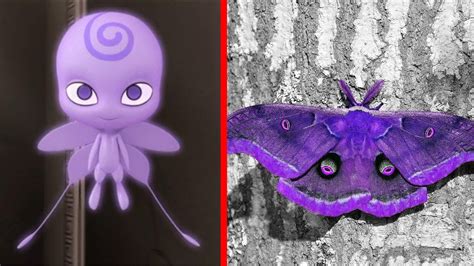 Do kwamis exist in real life.  Do not stop using gabapentin without check...