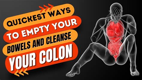 Do morticians empty the bowels. .  <a href=http://godefroyborduurstudio.nl/tps...