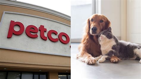 Do petco sell dogs. Things To Know About Do petco sell dogs. 