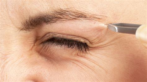 Do plucked eyebrows grow back? - yourbestselves.com