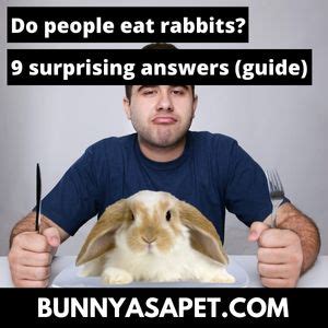 Do rabbits eat juniper? - Answers