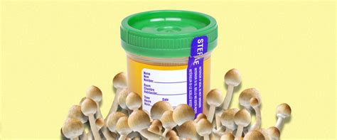 Do shrooms pop up on drug test. No they don't. You cant smoke weed , but you CAN trip balls on acid, DMT and shrooms all you want . Go figure. 3. Reply. dad_dica • 3 yr. ago. They don't test for that usually. Just like lsd it won't show up on your standard drug test. I was on drug court and did shrooms and acid the whole time I was on it. 
