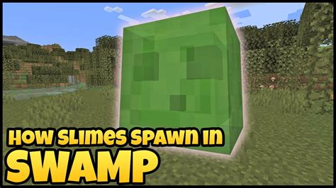 The question becomes: do slimes spawn in mangrove swamps? The answer is both yes and no. Slimes can technically spawn in any biome that meets their spawning requirements: a light level of 7 or less, and a slime chunk. A slime chunk is any chunk that is randomly chosen to have a 10% chance of spawning slimes. However, the likelihood of a slime .... 