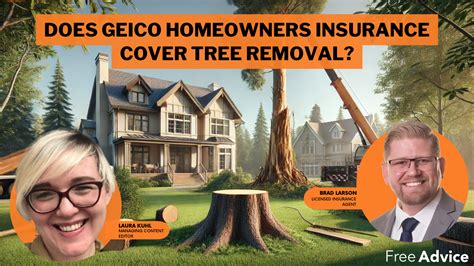 Do tree removal companies have insurance. .  ...