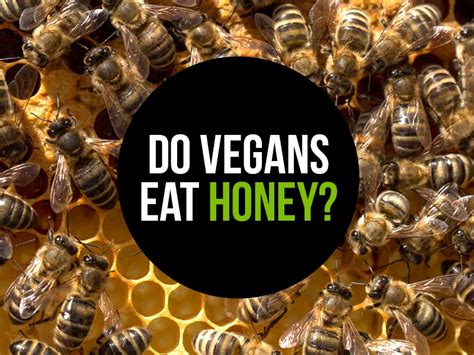 Do vegans eat honey. Perhaps. It depends on your point of view. The same goes for honey. The Vegan Society believes that honey is not vegan. It states on its website, “honey is made by bees for bees, and their health can be sacrificed when it is harvested by humans. Importantly, harvesting honey does not correlate with The Vegan Society’s definition of veganism ... 