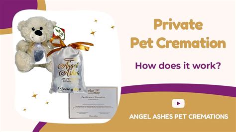 Do vets cremate pets individually.  These choices Private aquamation/cremation involves the p...