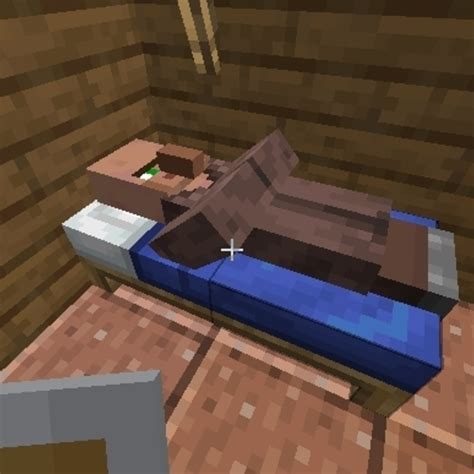 Do villagers need beds. Things To Know About Do villagers need beds. 