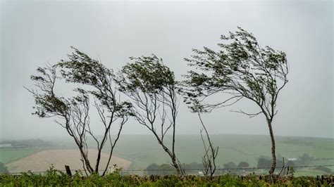 Do windy conditions affect flights