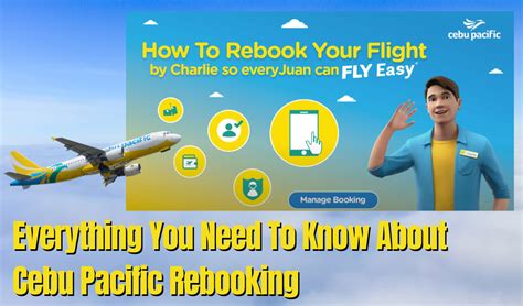 Do you need help with your rebooking? Frequently asked …