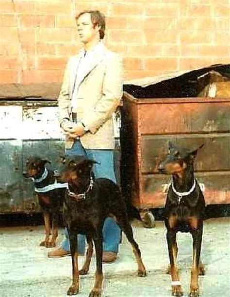 Doberman gang. After a gang of thieves fail in a bank robbery attempt, they decide to have their work done for them by trained Dobermans. They hired a dog trainer on the pretense of wanting the dogs to do security work. The dogs pull off their robbery successfully, but when they return to the hideout, they... 