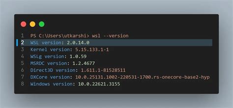 Docker is not running ubuntu wsl2.  Without a running runtime, the installe...