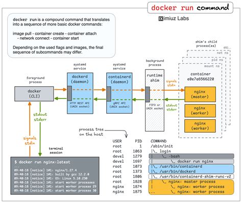 Docker newconnectionerror.  When you run the docker instance using docker run and you...