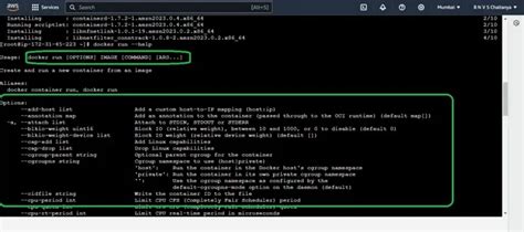 Docker run command and exit. .  <a href=https://www.info.dev-nanuk.com/.well-known/pki-validat...