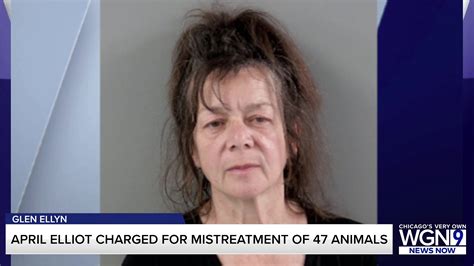 Docs: Glen Ellyn woman faces felony after 47 animals found dead, malnourished