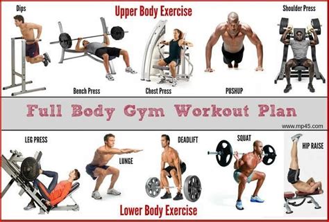 Doctor thang nguyen s guide to an intelligent full body workout how to get a perfect and hot body. - New holland tc35 clutch adjustment manual.