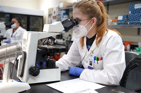 Our new medical laboratory science bachelor's program is training the next generation of medical lab scientists to help make a difference in patient outcomes.. 