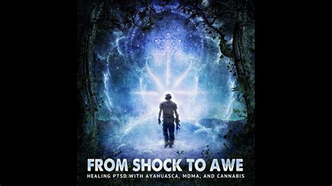 Documentary From Shock to Awe